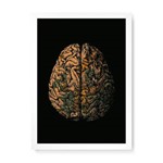 Quadro Decorativo Cérebro Mundi - 32,5x23cm (moldura em Laca Branca)