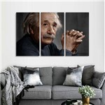 Quadro Decorativo Einstein Fisíco em Tecido 3 Peças
