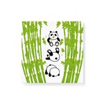 Quadro Decorativo em Tela Canvas Panda Bambu - 30x30cm
