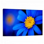 Quadro Decorativo Floral Flor Azul 45x65cm