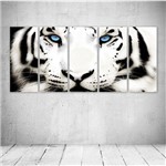 Quadro Decorativo - Tigre Branco - Composto de 5 Quadros