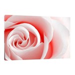 Quadro Floral Rosa Suave 65x45cm