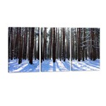 Quadro Floresta com Neve Árvores Decorativo Interiores - Oppen House