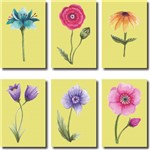 Quadros Decorativos Kit 6 Peças Flores Coloridas para Sala e Quarto - Modelo 4