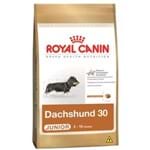 Ração Royal Canin Dachshund Junior 3 Kg