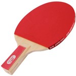 Raquete Ping Pong Butterfly Dhs