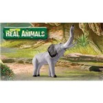 Real Animal Elefante 505 Beetoys
