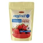 Recheio e Cobertura Diet Morango Easyfruit 300g - Blend