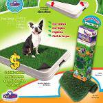 Refil de Graminha para Sanitário Higiênico Pet Injet Xixi Green Premium