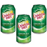 Refrigerante Canada Dry Ginger com 3 Latas
