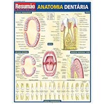 Resumão Anatomia Dentária