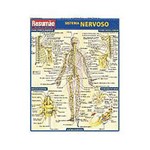 Resumão - Sistema Nervoso
