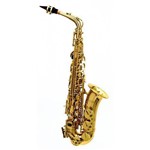 Saxofone Alto Laqueado Has-25l Hoyden