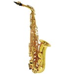 Saxofone Alto Shelter Sgft6430l Laqueado Dourado em Eb C/ Estojo