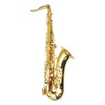 Saxofone Sax Tenor Dolphin Bb Sib Laqueado Dourado