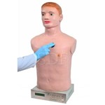 Simulador de Ausculta Cardiopulmonar C/ Controle Remoto- Sdorf - Cod: Sd-4040