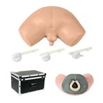 Simulador de Exame de Próstata - Anatomic - Código: Tgd-4063