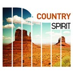 Spirit Of Country Compilação 4 CDs (Importado)
