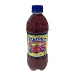 Suco Tampico Frutas Silvestres com 450ml