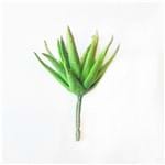 Suculenta Aloe Verde 9 Cm