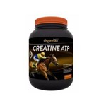 Suplemento para Equinos Organnact Creatine ATP 1kg
