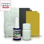 Tapa Risco Audi - Azul Ming / Mingblau LZ5L/Q5Q5