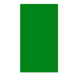 Tatame 2m X 1m X 10mm - Sem Encaixe - Verde Bandeira Verde Bandeira