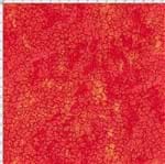 Tecido Estampado para Patchwork - Fantasia Airton Spengler: Crackerd Vermelho (0,50x1,40)