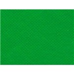 Tnt 1,40mtsx2,20mts Verde Bandeira 09 Magik Color S/L