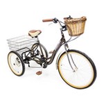 Triciclo Deluxe Premium Marrom com Creme Dream Bike
