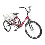Triciclo Deluxe Rebaixado Vermelho Dream Bike