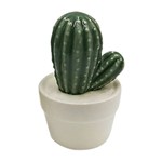 Vaso de Cerâmica Branco Pringlei Cactus Urban