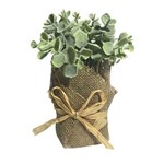 Vaso Decorativo Planta Eucalipto Verde com Powder 16cm - D'Rossi
