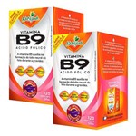 Vitamina B9 Ácido Fólico - 2 Un de 120 Cápsulas - Katigua