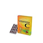 Vitamina C Terra Verde - Sanibras - 30 Caps.