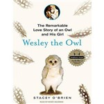 Wesley The Owl