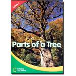 World Windows: Parts Of a Tree - Book - Level 1